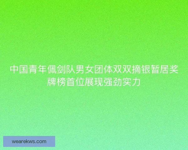 中国青年佩剑队男女团体双双摘银暂居奖牌榜首位展现强劲实力 中国青年佩剑队男女团体双双摘银暂居奖牌榜首位展现强劲实力