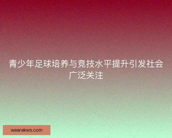 青少年足球培养与竞技水平提升引发社会广泛关注